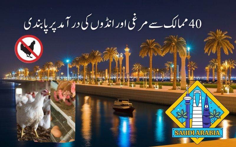 سعودی عرب نے 40 ممالک سے مرغی اور انڈوں کی درآمد پر لگا دی پابندی